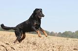 BEAUCERON 089